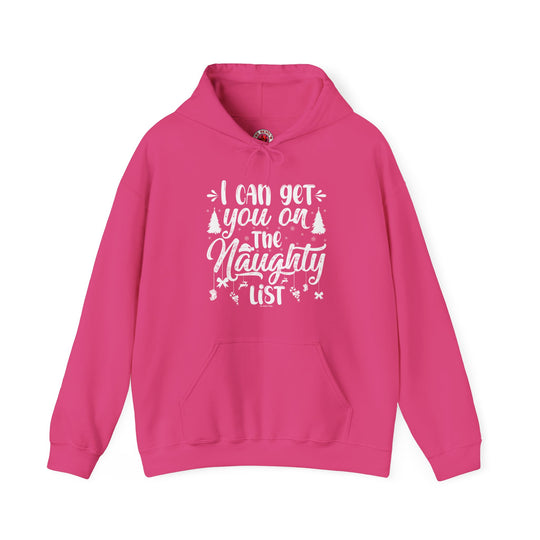 I Can Get You On The Naughty List Hooded Sweatshirt