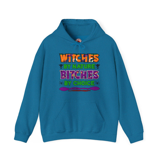 Witches By Nature Bitches By Choice Hooded Sweatshirt