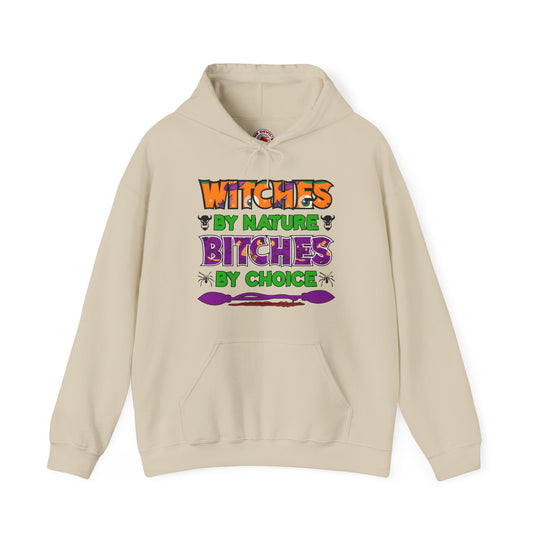 Witches By Nature Bitches By Choice Hooded Sweatshirt