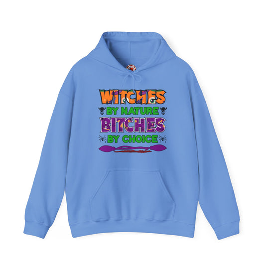 Witches By Nature Bitches By Choice Hooded Sweatshirt