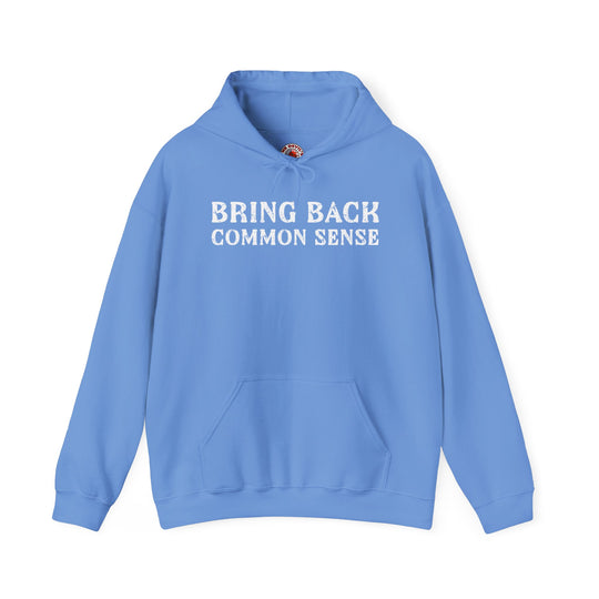 Bring Back Common Sense Hooded Sweatshirt