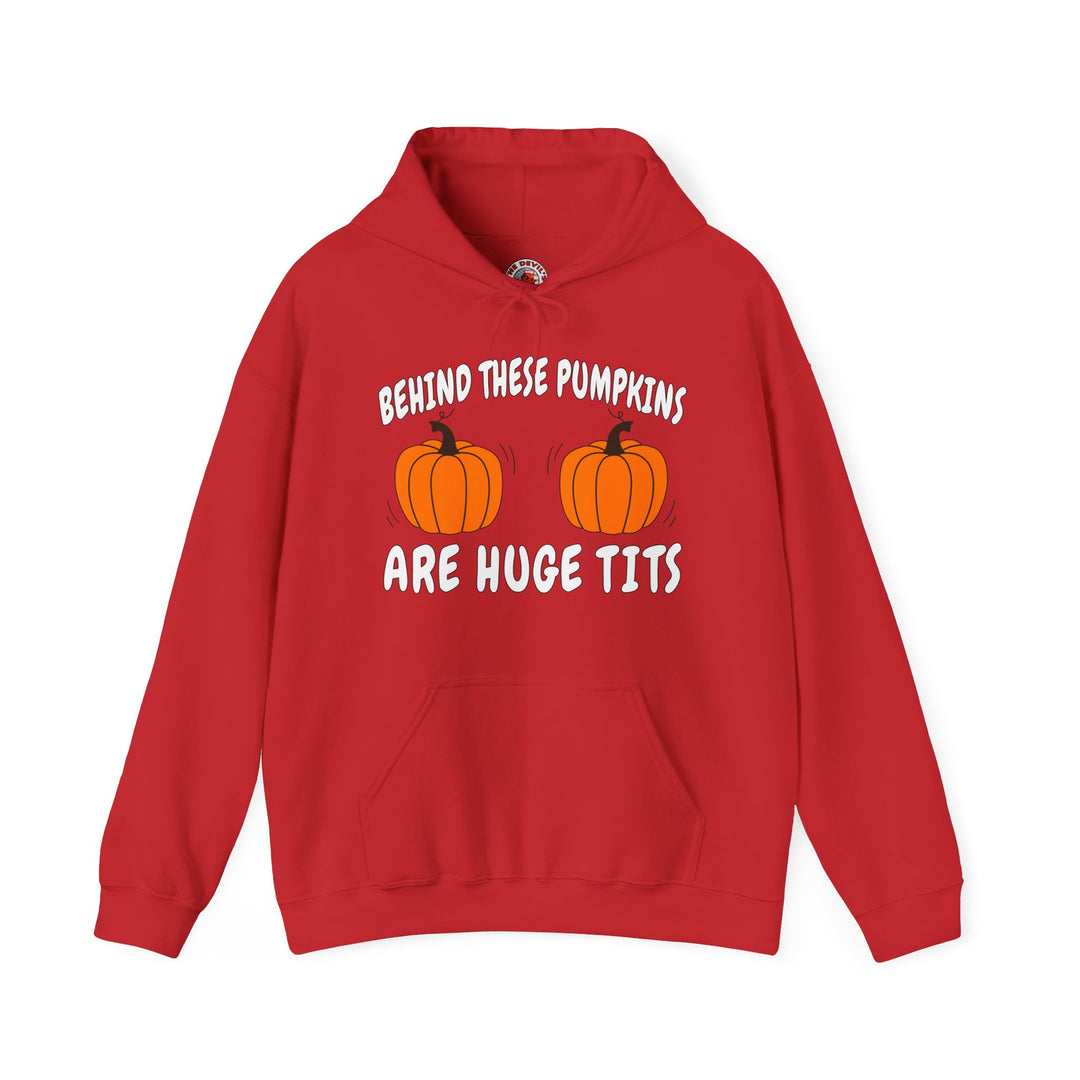 Behind These Pumpkins Are Huge Tits Hooded Sweatshirt