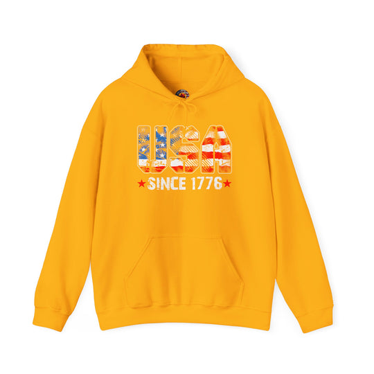 USA Since 1776 Hooded Sweatshirt