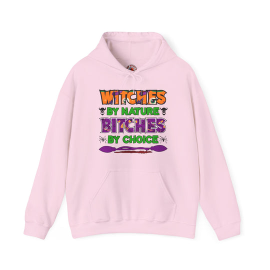 Witches By Nature Bitches By Choice Hooded Sweatshirt