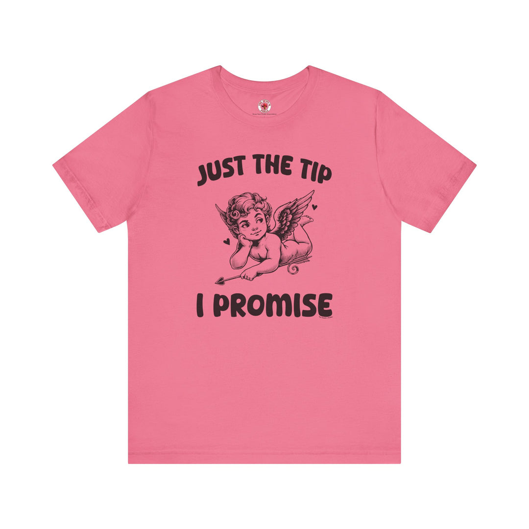 Just The Tip I Promise V-Day T-Shirt