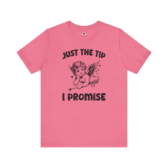 Just The Tip I Promise V-Day T-Shirt