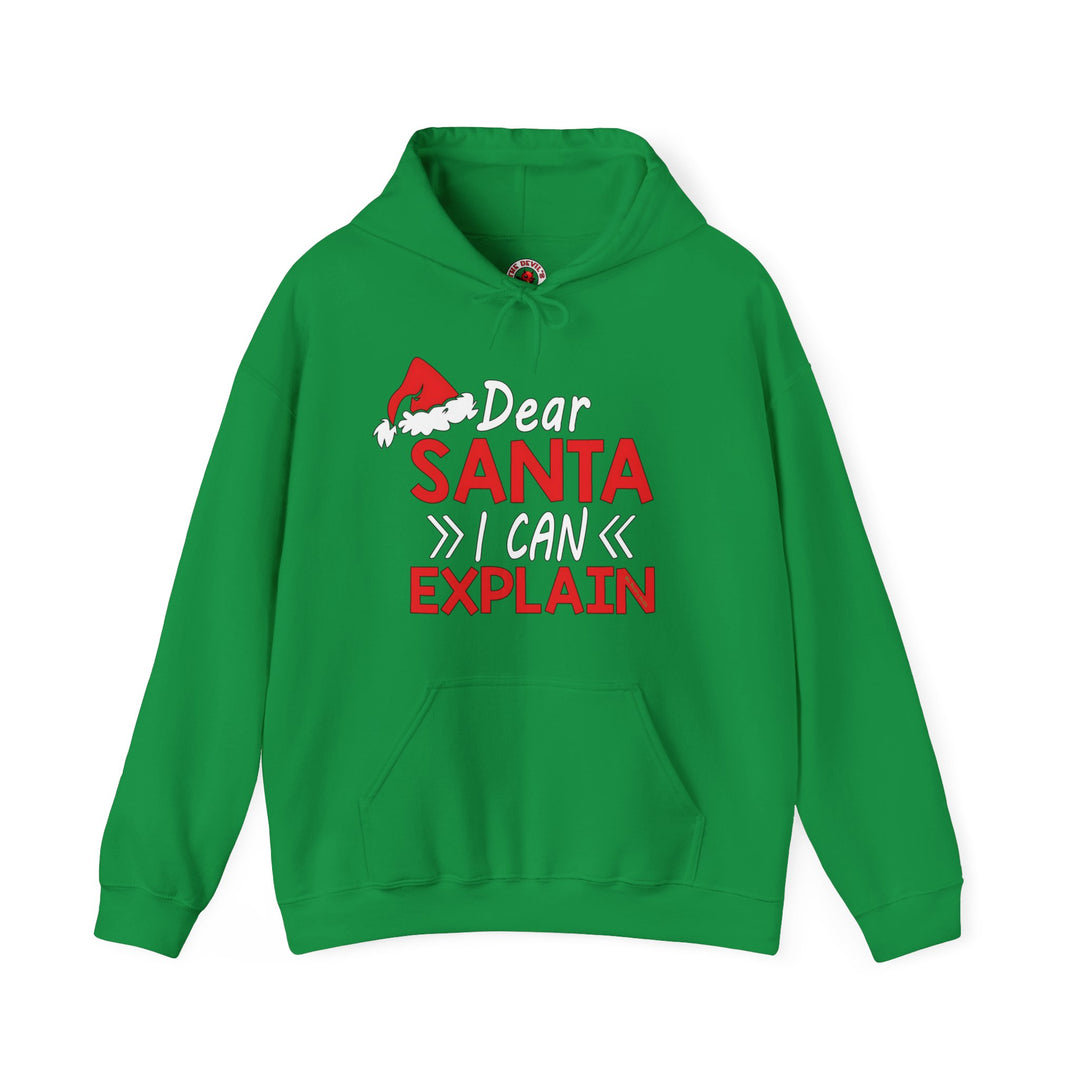 Dear Santa I Can Explain Hooded Sweatshirt