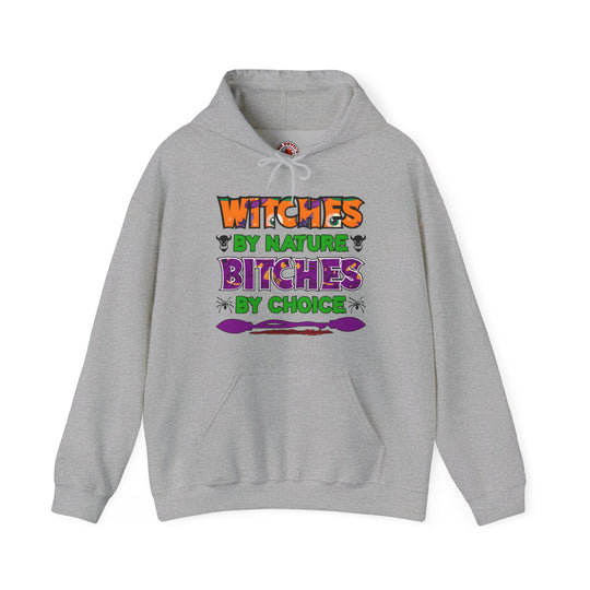 Witches By Nature Bitches By Choice Hooded Sweatshirt