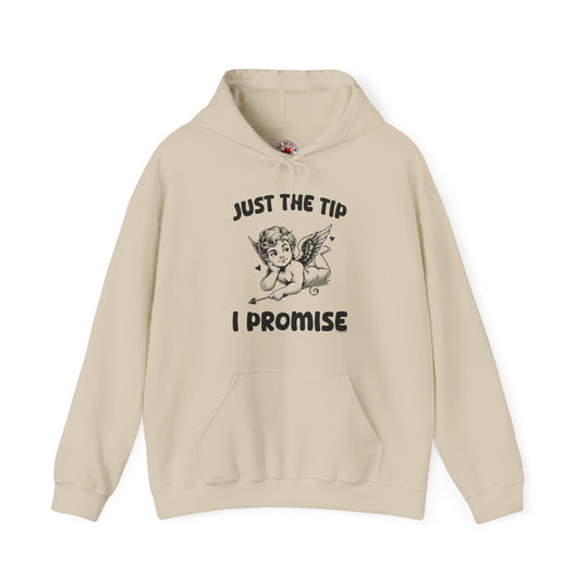 Just The Tip I Promise  V-Day Hooded Sweatshirt