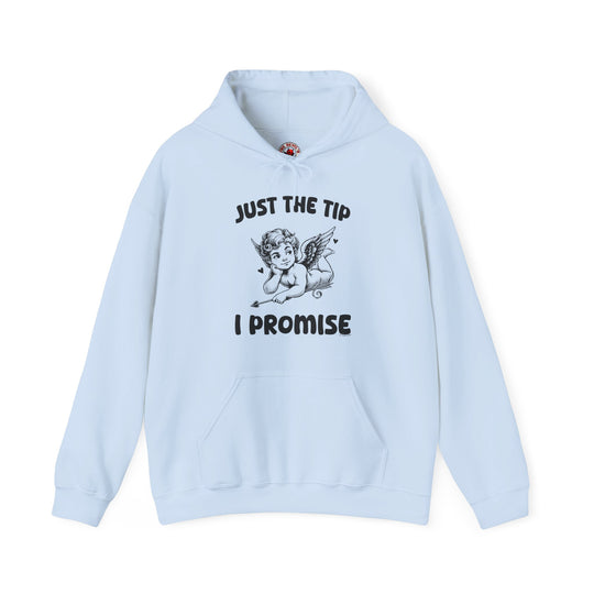 Just The Tip I Promise  V-Day Hooded Sweatshirt