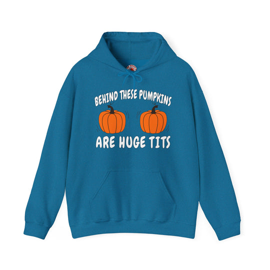 Behind These Pumpkins Are Huge Tits Hooded Sweatshirt