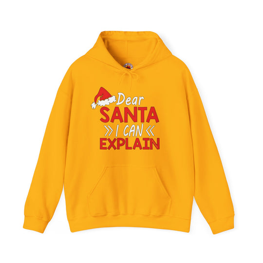 Dear Santa I Can Explain Hooded Sweatshirt