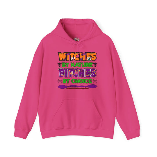 Witches By Nature Bitches By Choice Hooded Sweatshirt