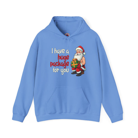 I Have A Huge Package For You Hooded Sweatshirt