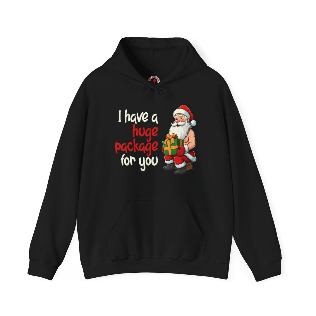 I Have A Huge Package For You Hooded Sweatshirt