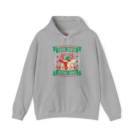 Dear Santa Define Good Hooded Sweatshirt