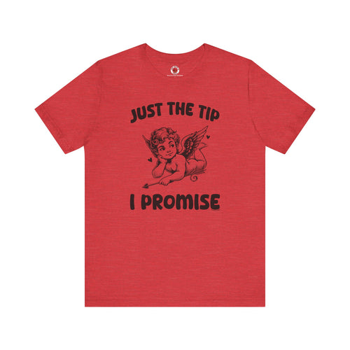 Just The Tip I Promise V-Day T-Shirt