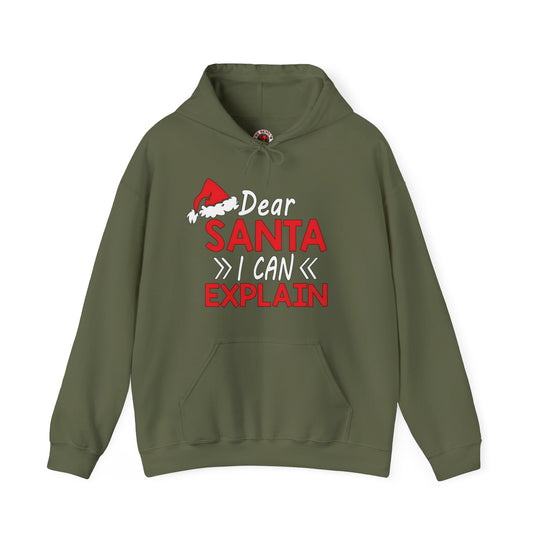 Dear Santa I Can Explain Hooded Sweatshirt