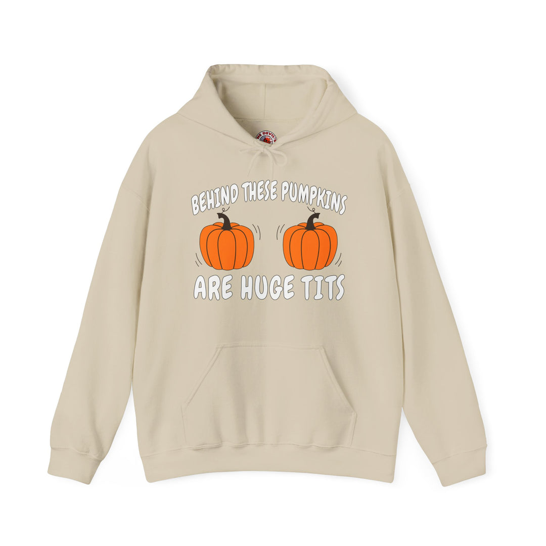 Behind These Pumpkins Are Huge Tits Hooded Sweatshirt