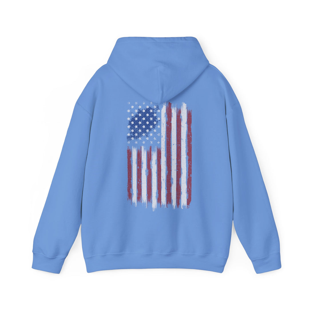 The Devil's Pickle American Flag Hooded Sweatshirt