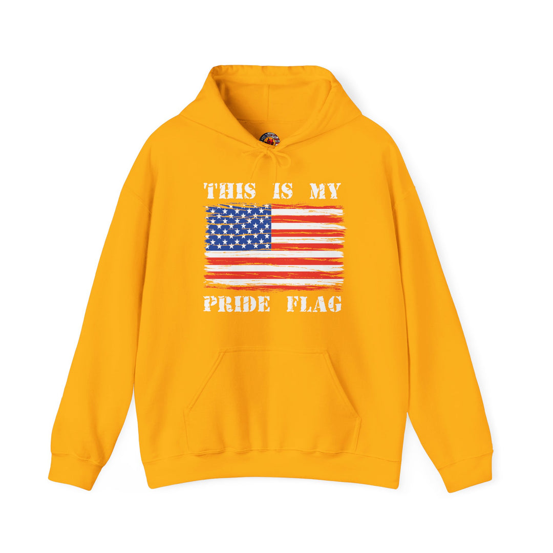 This Is My Pride Flag Hooded Sweatshirt