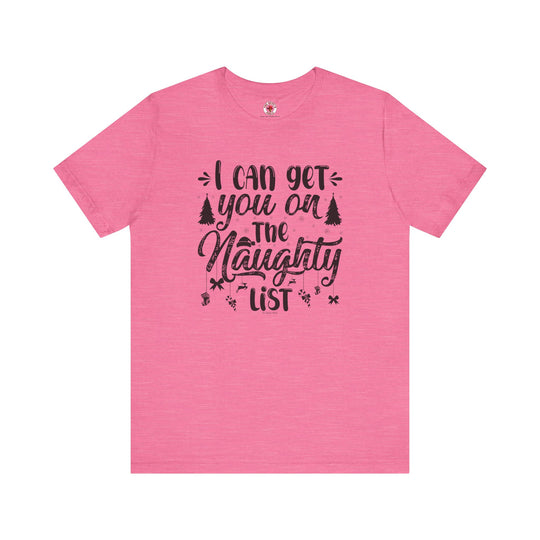 I Can Get You On The Naughty List T-Shirt