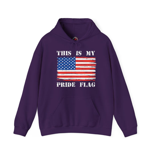 This Is My Pride Flag Hooded Sweatshirt