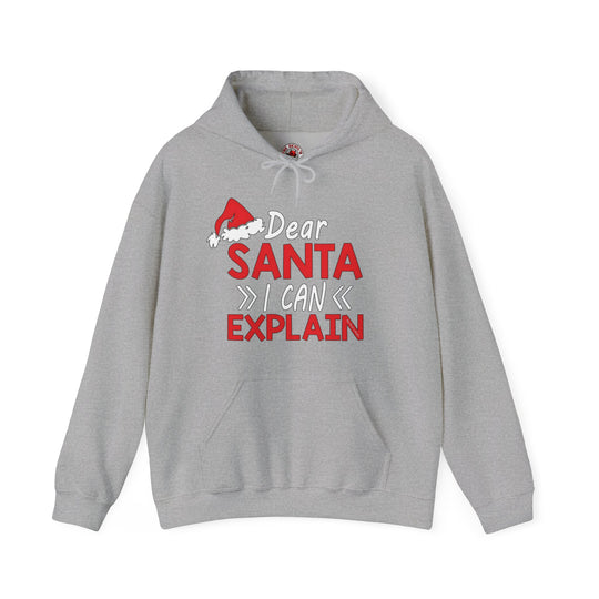 Dear Santa I Can Explain Hooded Sweatshirt