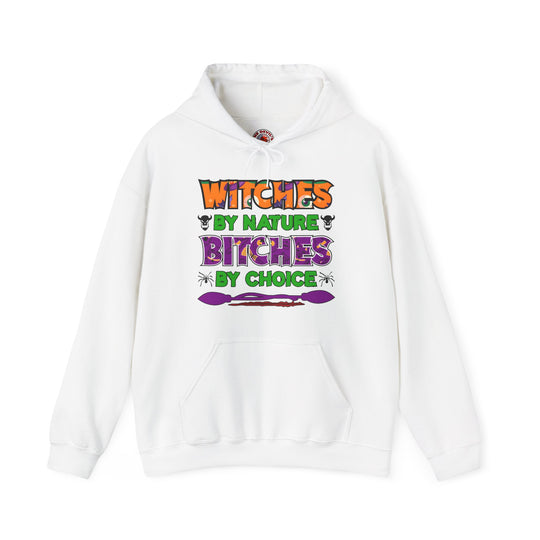 Witches By Nature Bitches By Choice Hooded Sweatshirt