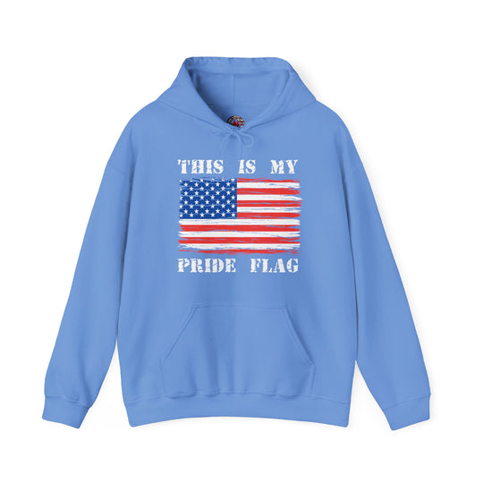 This Is My Pride Flag Hooded Sweatshirt