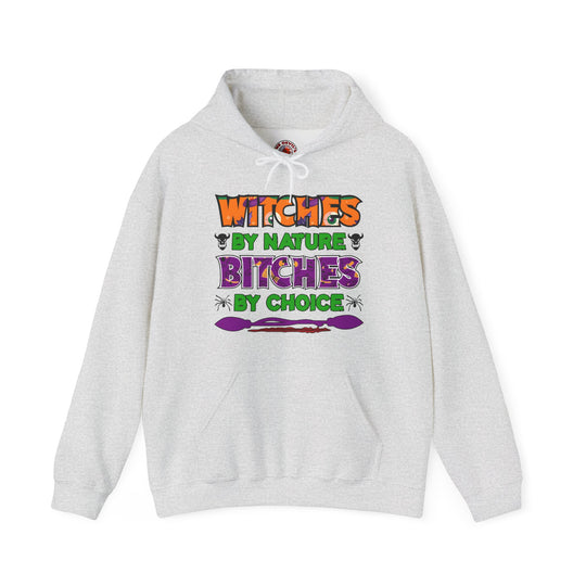 Witches By Nature Bitches By Choice Hooded Sweatshirt