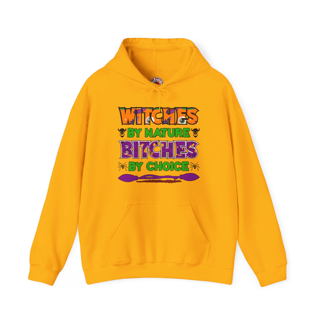 Witches By Nature Bitches By Choice Hooded Sweatshirt