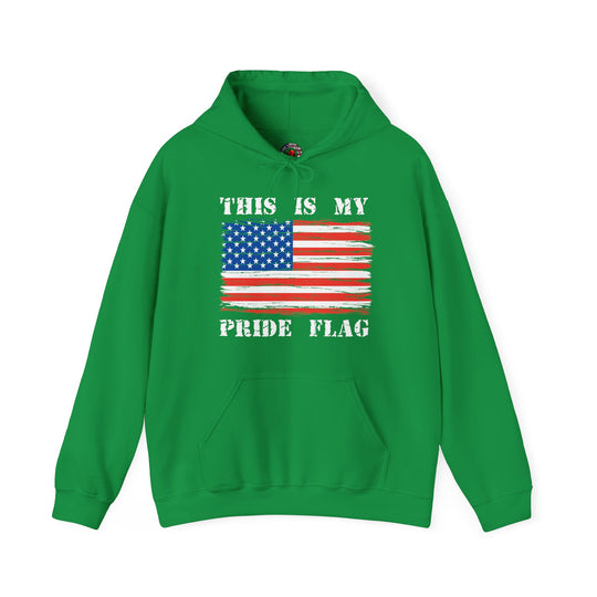 This Is My Pride Flag Hooded Sweatshirt