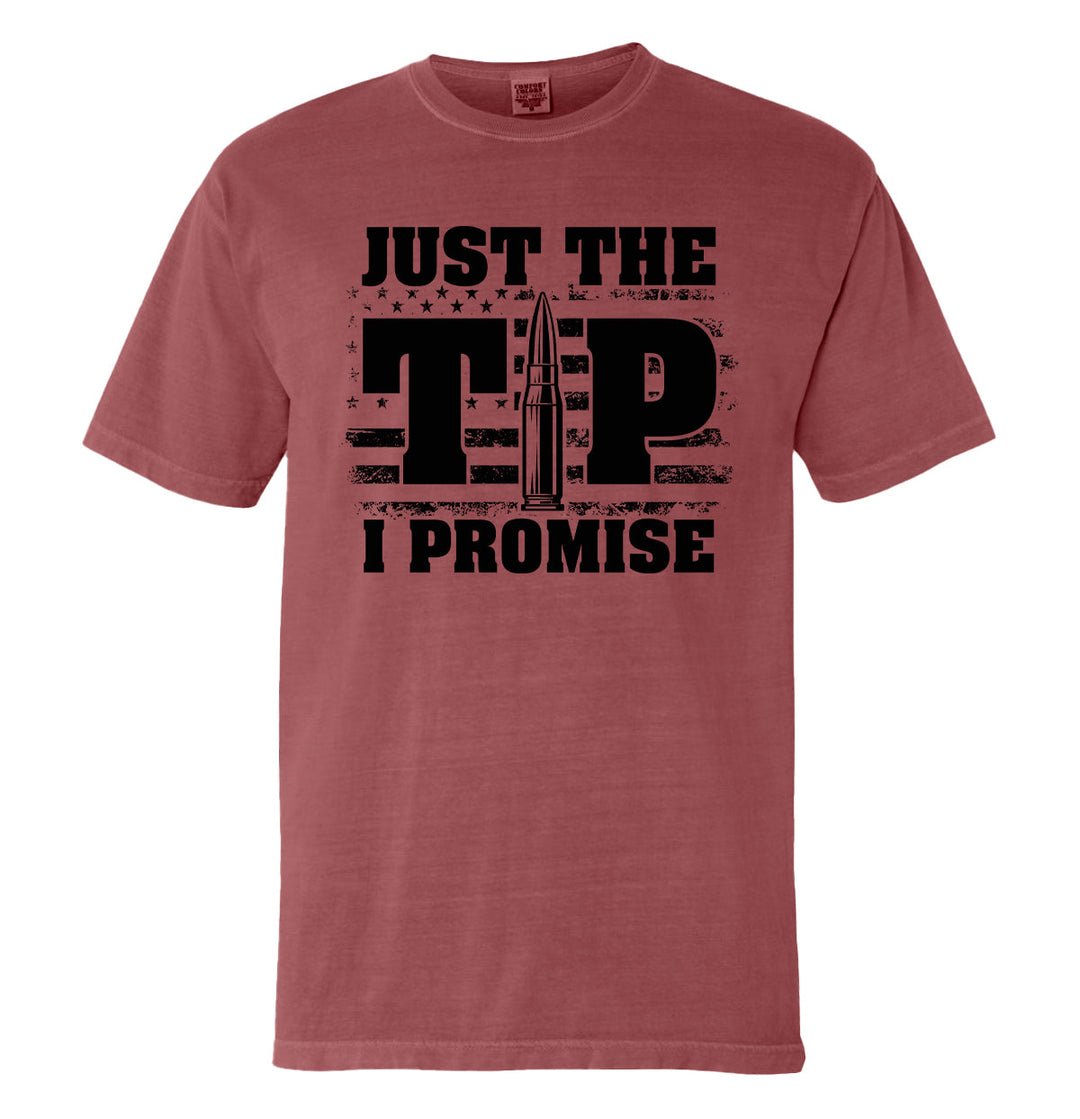 Just The Tip I Promise Flag (Front)